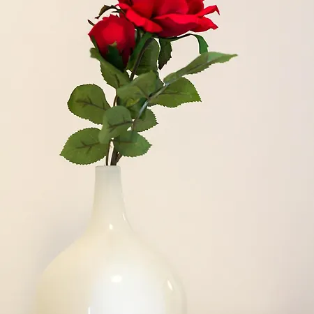 Budinic Mali Lošinj