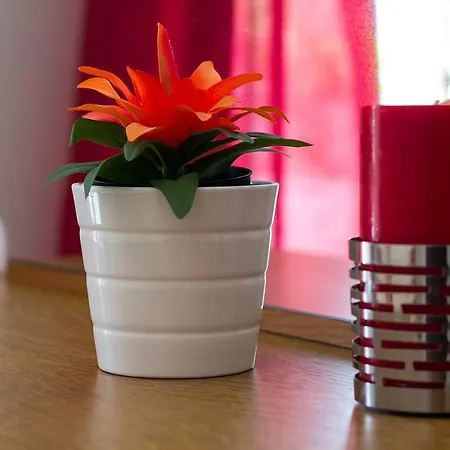 Budinic Apartamento Mali Lošinj