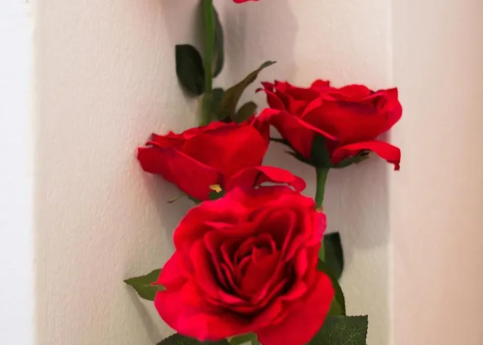 Budinic Appartement Mali Lošinj