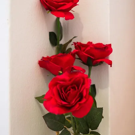 Budinic Apartment Mali Losinj