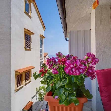 Budinic Mali Lošinj