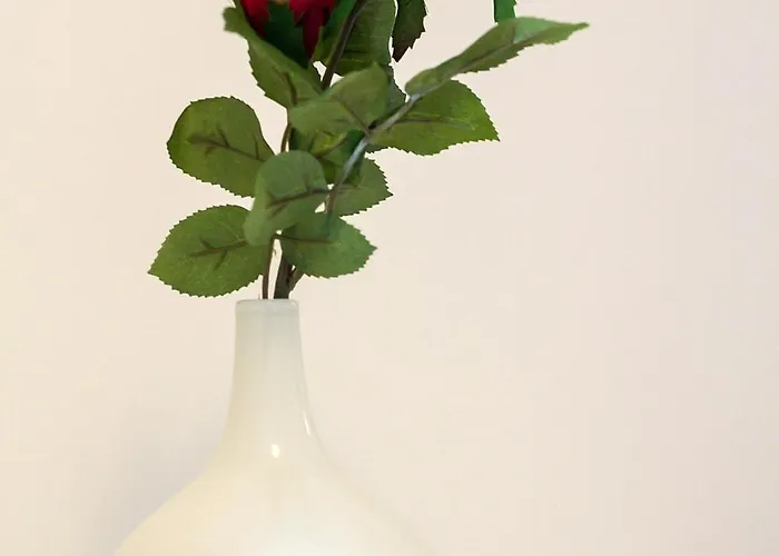 Budinic Mali Lošinj